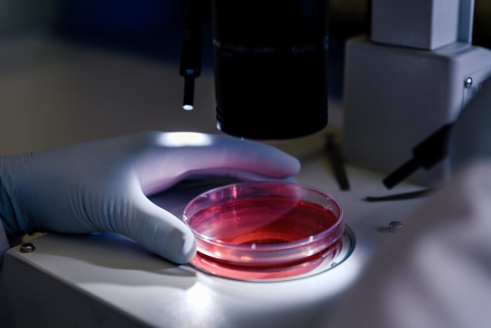 Consultations and assessments at CellRenew
